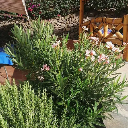 Beautiful 2 Bedroom Bungalow In Village 2 Mogán